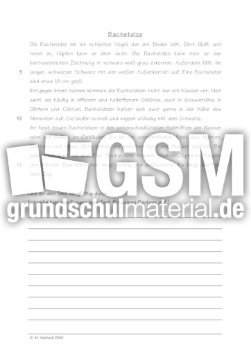 Bachstelze.pdf